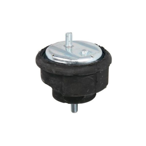 REINHOCH Lagerung, Motor RH11-3007