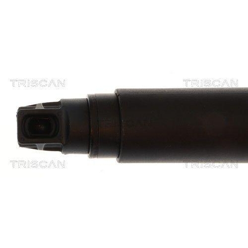TRISCAN Gasfeder, Koffer-/Laderaum 8710 29348