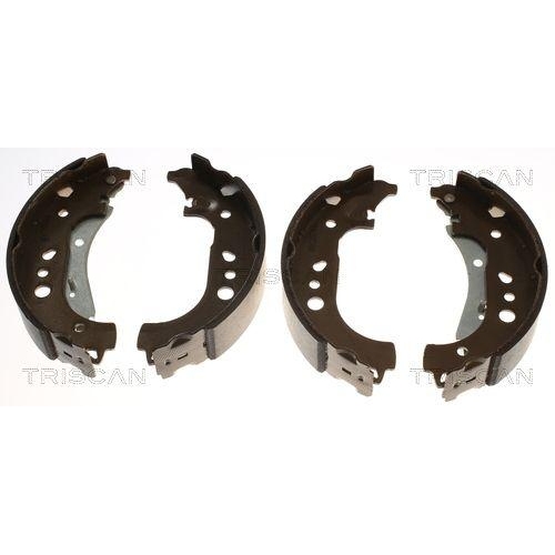 TRISCAN Bremsbackensatz 8100 29005