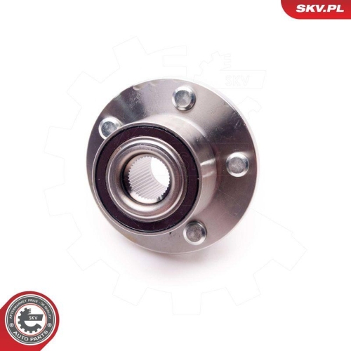 ESEN SKV Radlagersatz 29SKV165