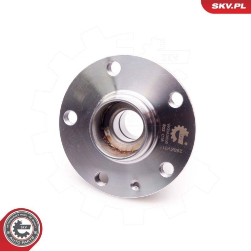 ESEN SKV Radlagersatz 29SKV011