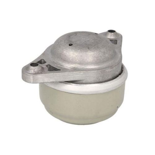 REINHOCH Lagerung, Motor RH11-3098