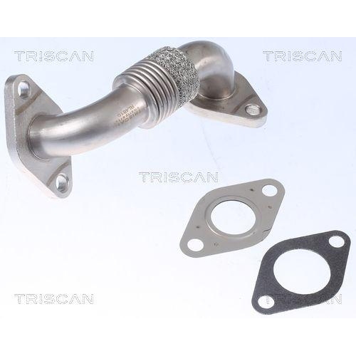 TRISCAN Rohrleitung, AGR-Ventil 8811 29102