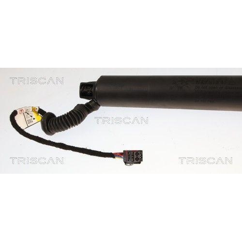 TRISCAN Gasfeder, Koffer-/Laderaum 8710 29350
