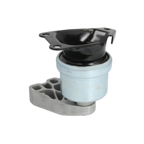 REINHOCH Lagerung, Motor RH11-0058