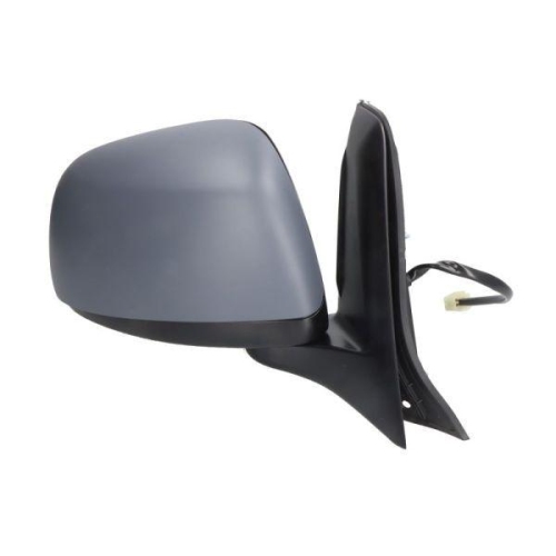 BLIC Au&szlig;enspiegel 5402-04-1112994P