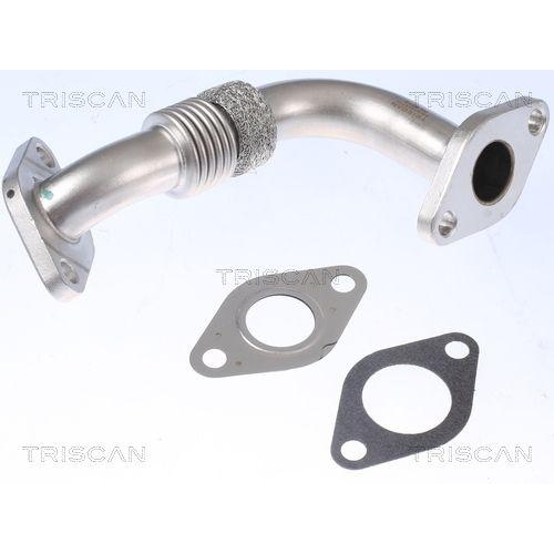 TRISCAN Rohrleitung, AGR-Ventil 8811 29106