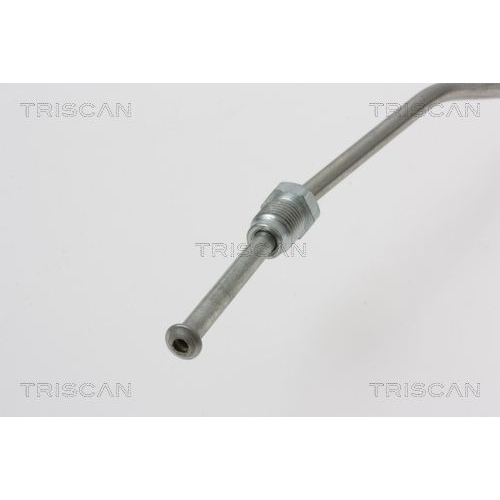 TRISCAN Bremsschlauch