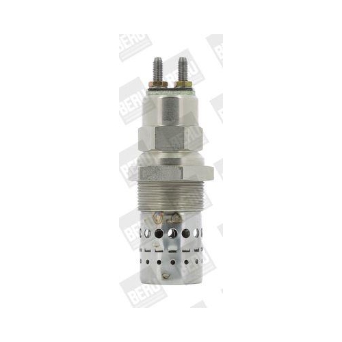 BorgWarner (BERU) Gl&uuml;hkerze