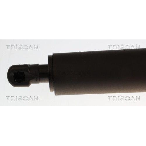 TRISCAN Gasfeder, Koffer-/Laderaum 8710 43254