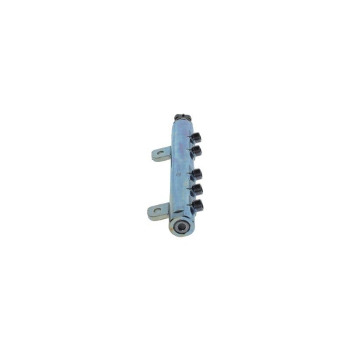 BOSCH Verteilerrohr, Kraftstoff 0 445 216 050