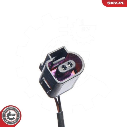 ESEN SKV Sensor, Raddrehzahl 06SKV012