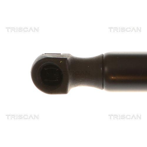 TRISCAN Gasfeder, Koffer-/Laderaum 8710 80221