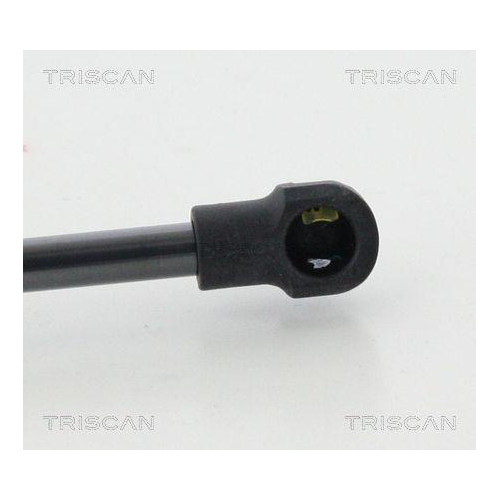 TRISCAN Gasfeder, Koffer-/Laderaum 8710 11240