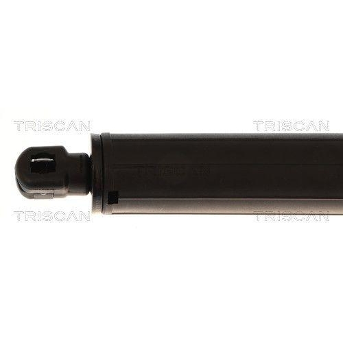 TRISCAN Gasfeder, Koffer-/Laderaum 8710 84301