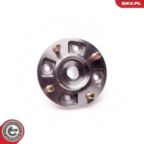 ESEN SKV Radlagersatz 29SKV169