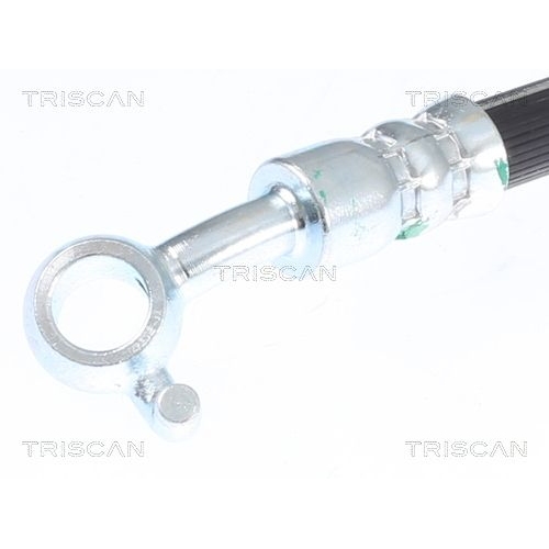 TRISCAN Bremsschlauch 8150 80210