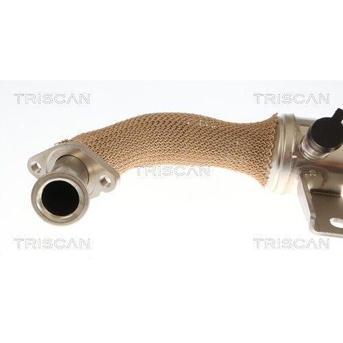 TRISCAN K&uuml;hler, Abgasr&uuml;ckf&uuml;hrung 8813 10059
