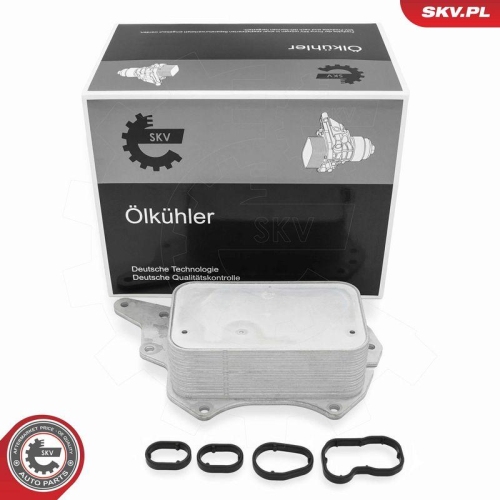 ESEN SKV &Ouml;lk&uuml;hler, Motor&ouml;l 31SKV306