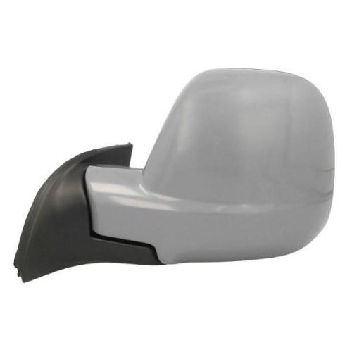 BLIC Au&szlig;enspiegel 5402-04-9212985P