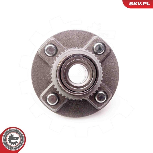 ESEN SKV Radlagersatz 29SKV170