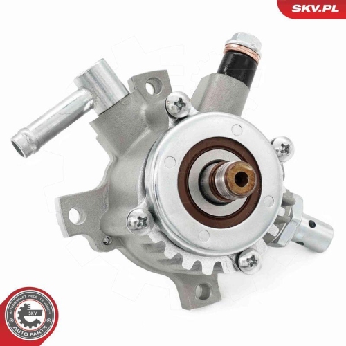 ESEN SKV Unterdruckpumpe, Bremsanlage