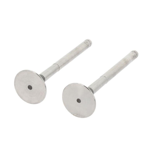 CORTECO Auslassventil 550002B