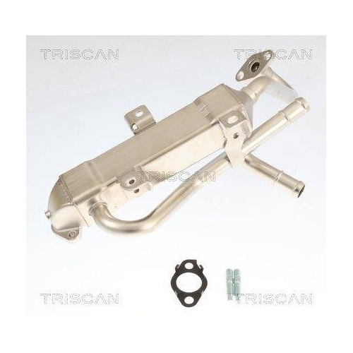 TRISCAN K&uuml;hler, Abgasr&uuml;ckf&uuml;hrung 8813 43056