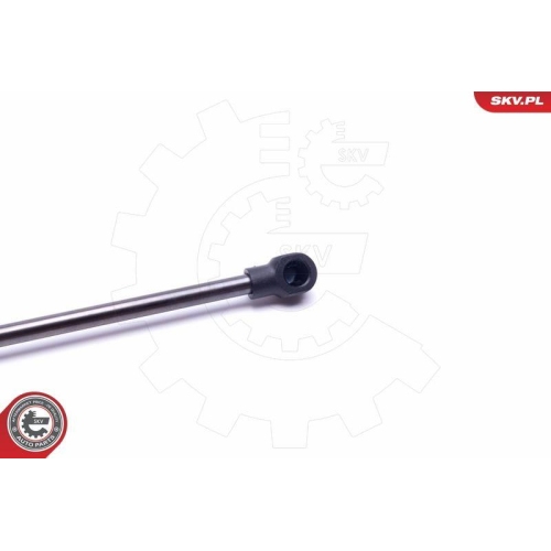 ESEN SKV Gasfeder, Koffer-/Laderaum