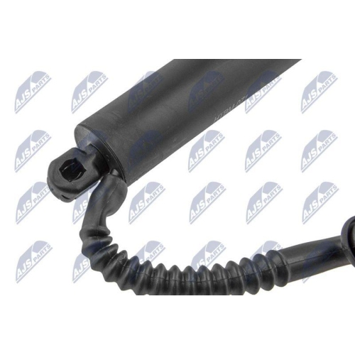 NTY Gasfeder, Koffer-/Laderaum AE-BM-071