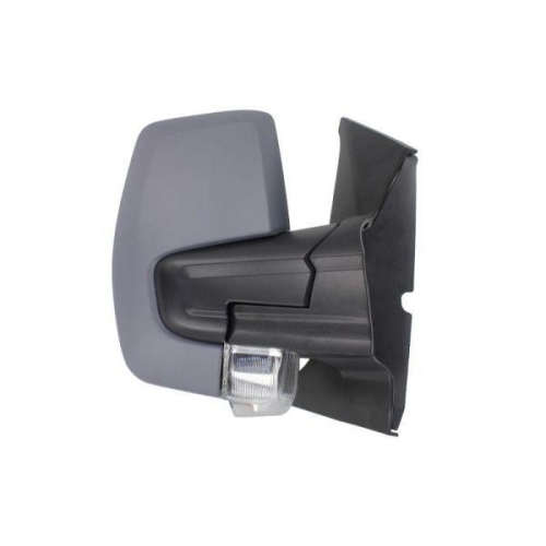 BLIC Au&szlig;enspiegel 5402-03-2001296P