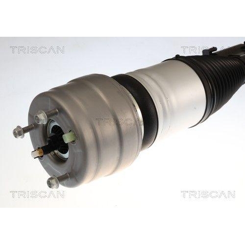 TRISCAN Luftfederbein 8720 23109