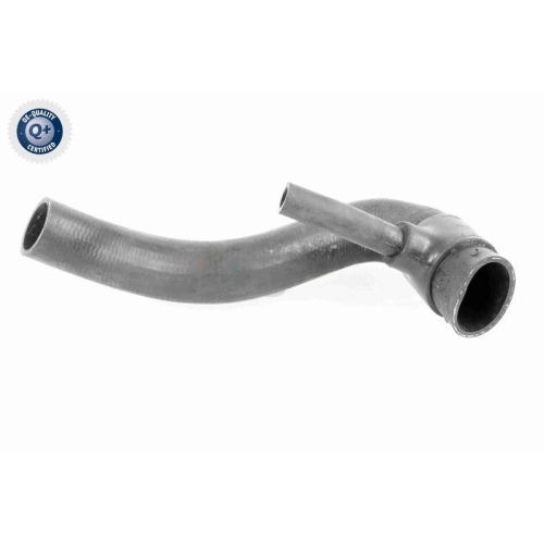 VAICO Kühlerschlauch Q+, Erstausrüsterqualität V30-1951