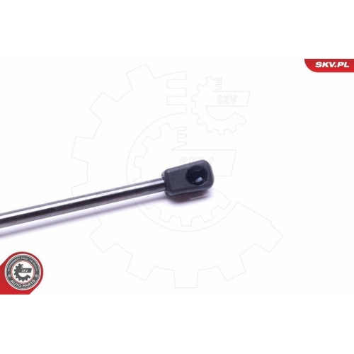 ESEN SKV Gasfeder, Koffer-/Laderaum