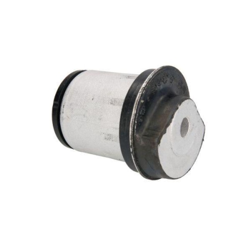 REINHOCH Lagerung, Achsk&ouml;rper RH20-5002