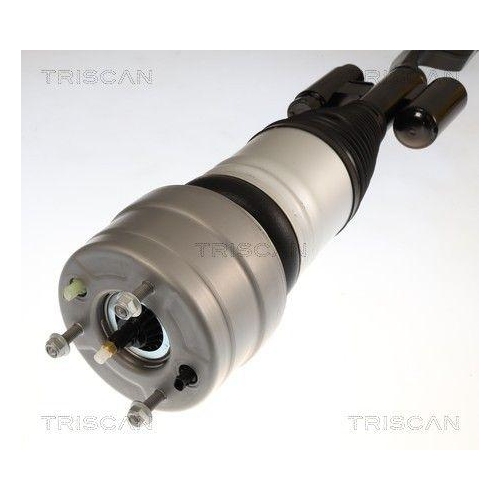 TRISCAN Luftfederbein 8720 23110