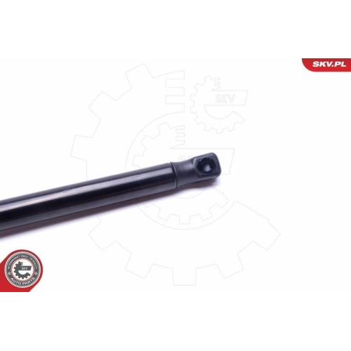 ESEN SKV Gasfeder, Koffer-/Laderaum