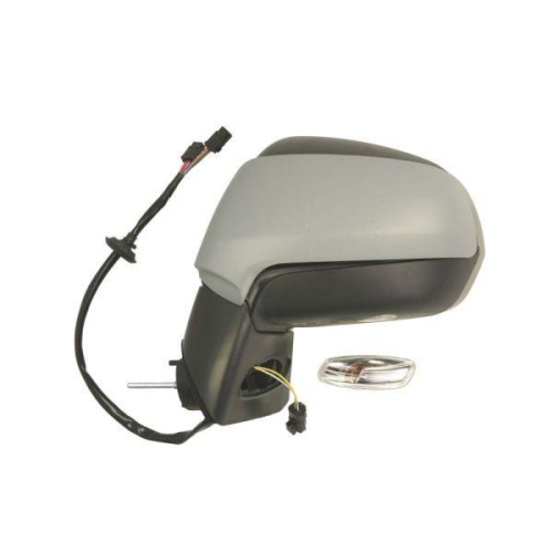 BLIC Au&szlig;enspiegel 5402-08-031363P