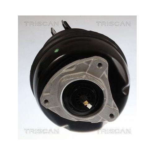 TRISCAN Luftfederbein 8720 23112