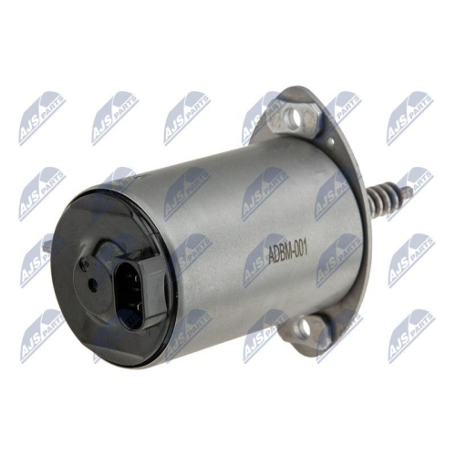 NTY Stellelement, Exzenterwelle (variabler Ventilhub) ERZ-BM-001