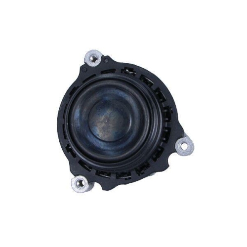 MAXGEAR Lagerung, Motor 40-0627