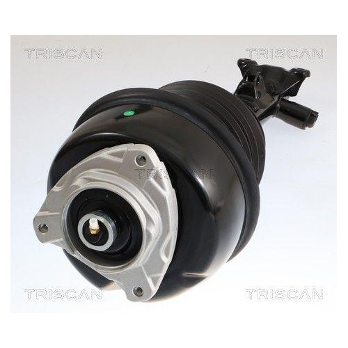 TRISCAN Luftfederbein 8720 23113