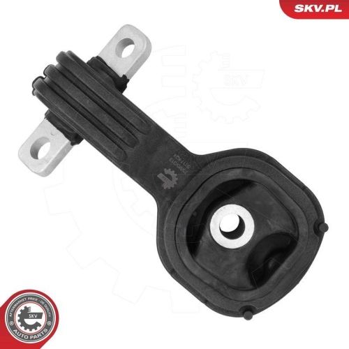 ESEN SKV Lagerung, Motor 75SKV313