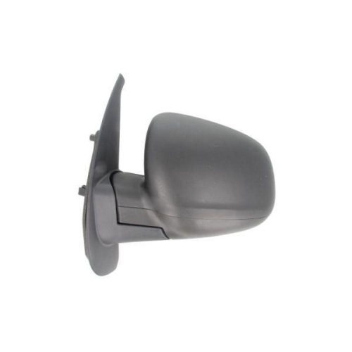 BLIC Außenspiegel 5402-02-2001751P