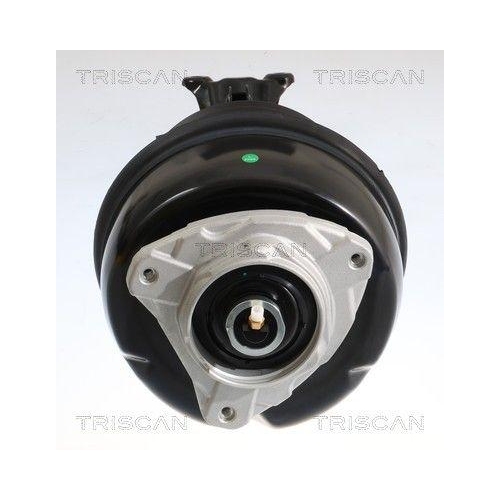 TRISCAN Luftfederbein 8720 23114