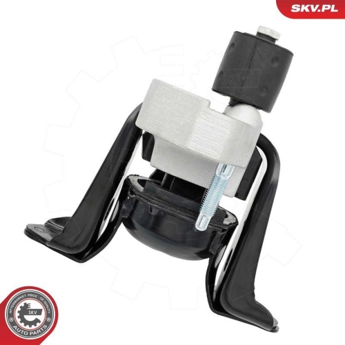 ESEN SKV Lagerung, Motor 75SKV317
