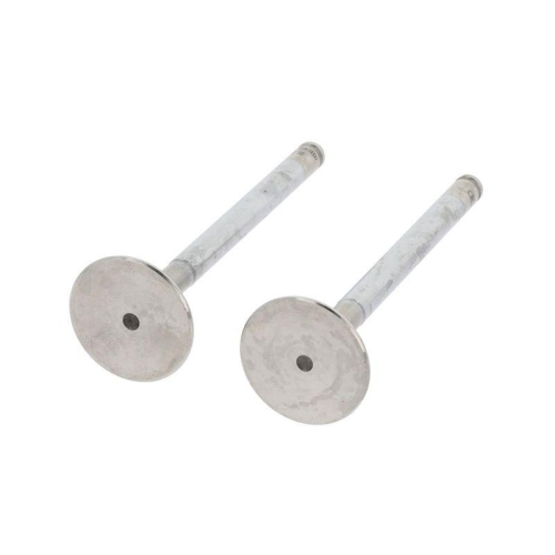 CORTECO Auslassventil 550243B