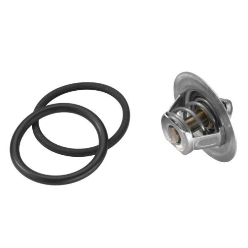 BorgWarner (Wahler) Thermostat, K&uuml;hlmittel