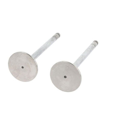 CORTECO Einlassventil 550252B