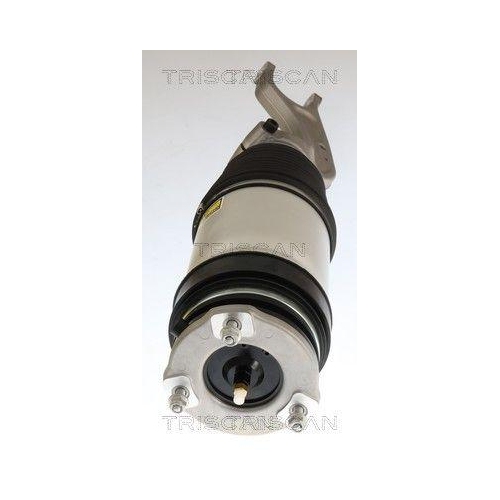 TRISCAN Luftfederbein 8720 81103